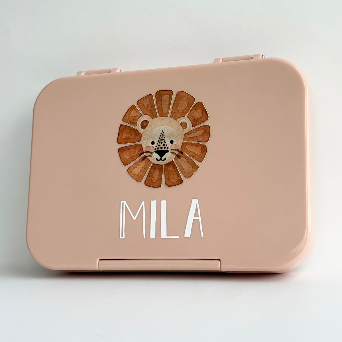 Bento Lunch Box - Clearance (Printed Designs)