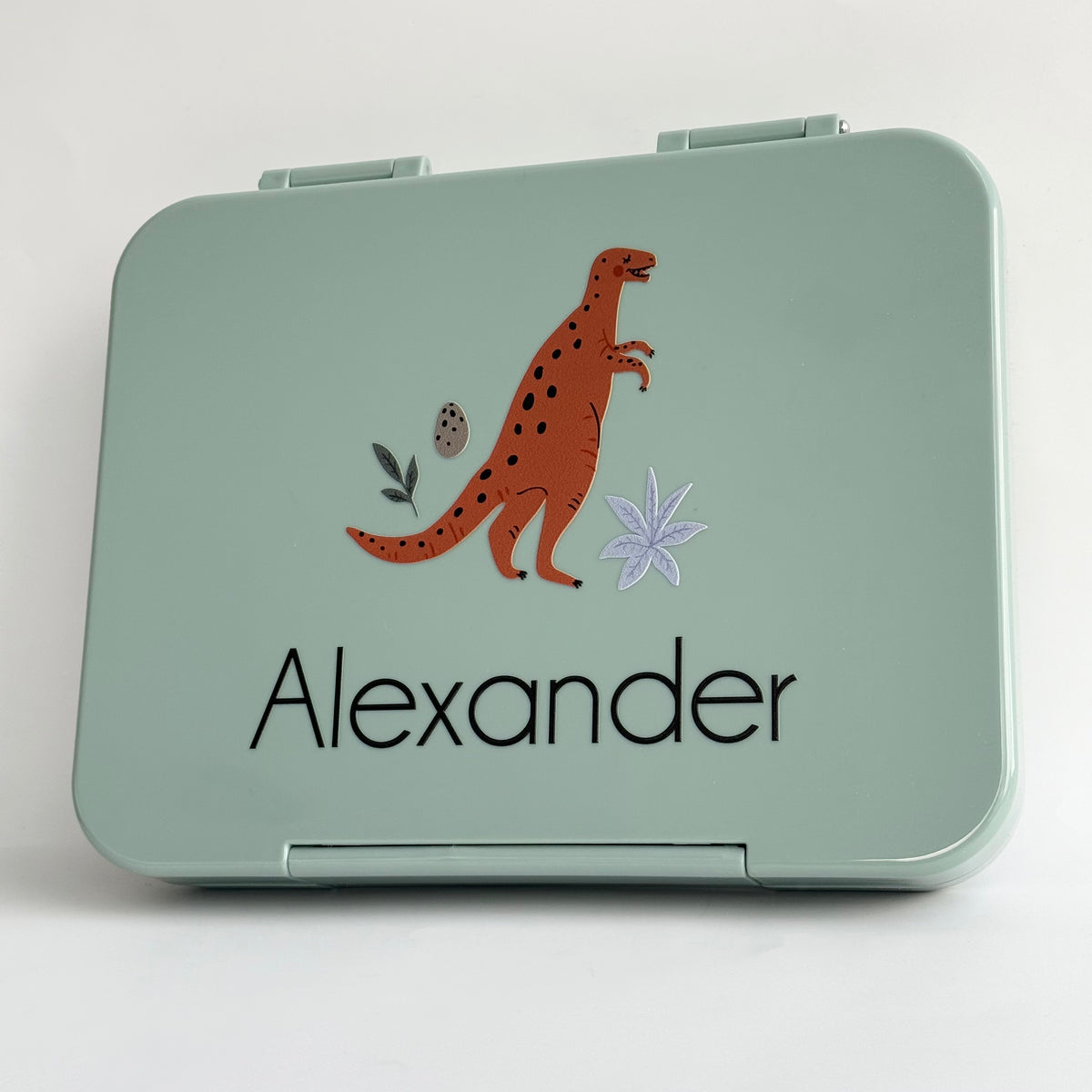 Bento Lunch Box - Clearance (Printed Designs)