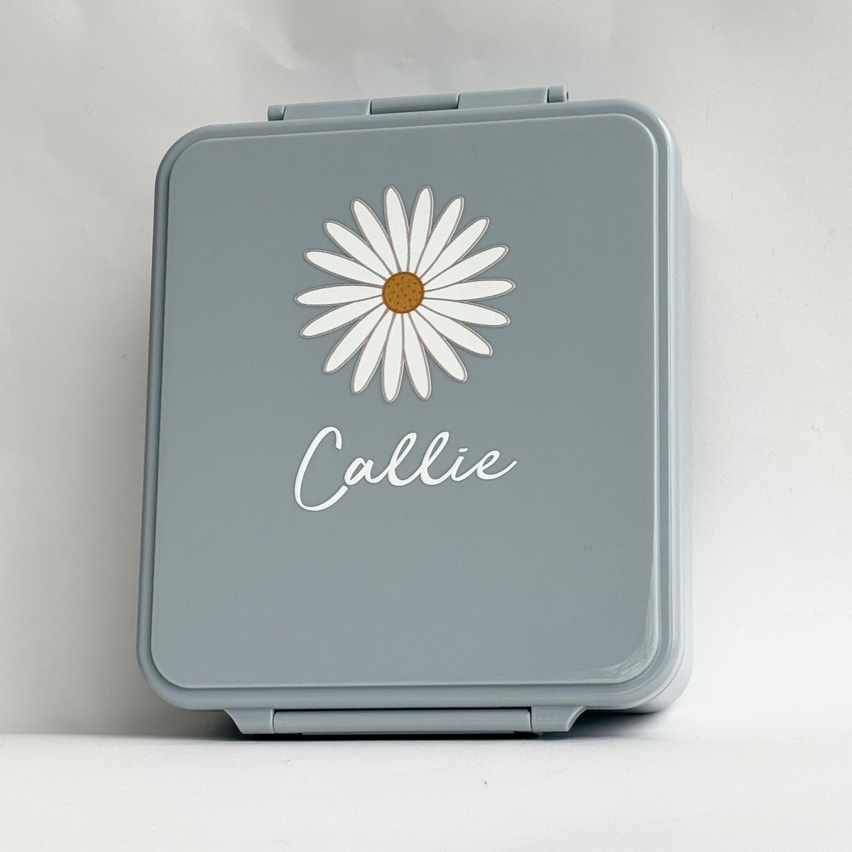 Bento Lunch Box - Clearance (Printed Designs)