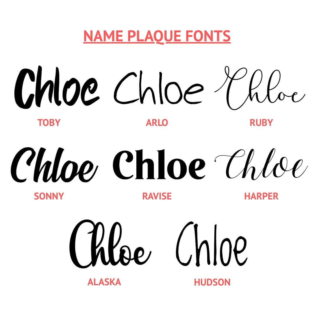 Name plaque font options chart showing different script and modern fonts for personalised name plaques