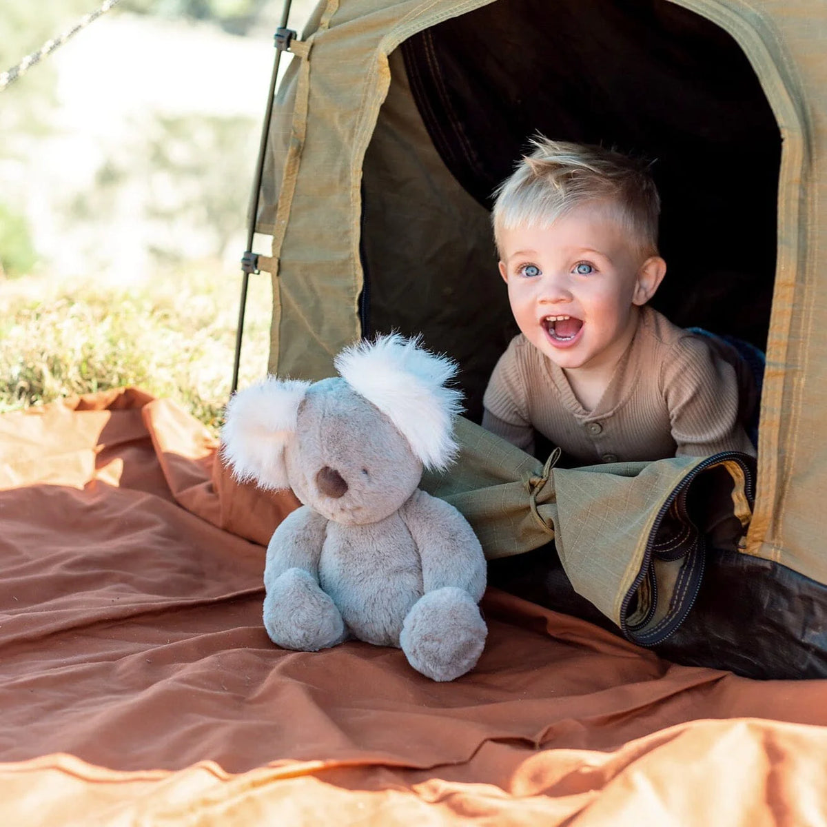 Kobi Koala (Vegan Angora) Soft Toy