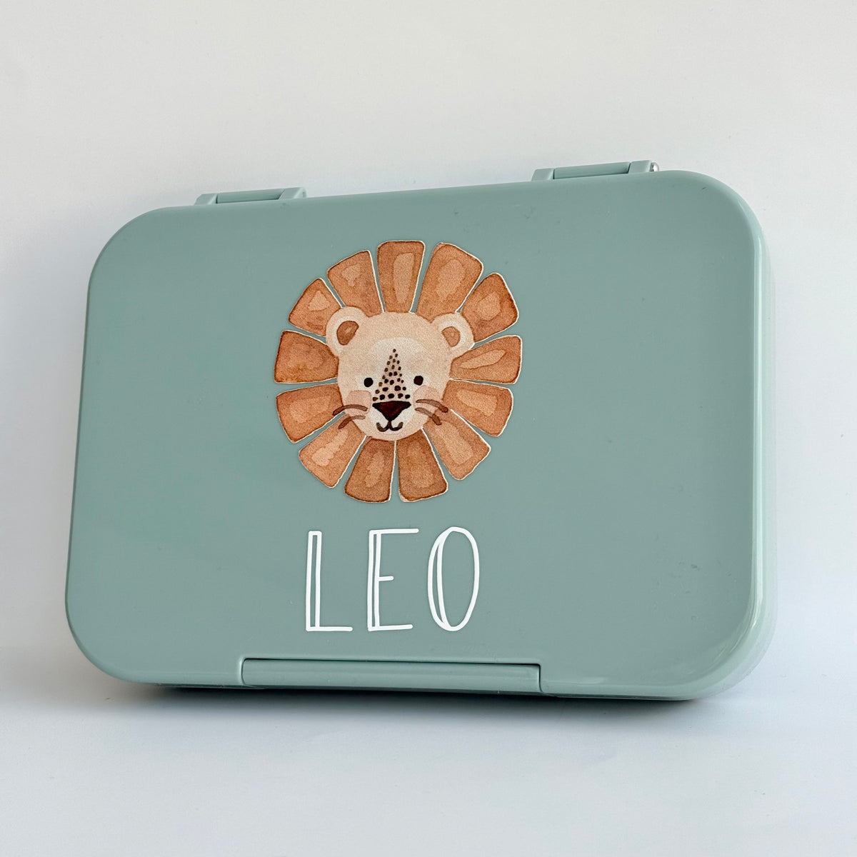 Bento Lunch Box - Clearance (Printed Designs)