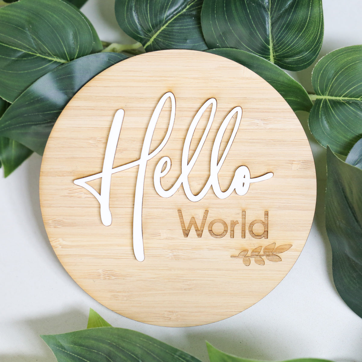 Hello World - Bamboo &amp; Acrylic Birth Announcement Plaque