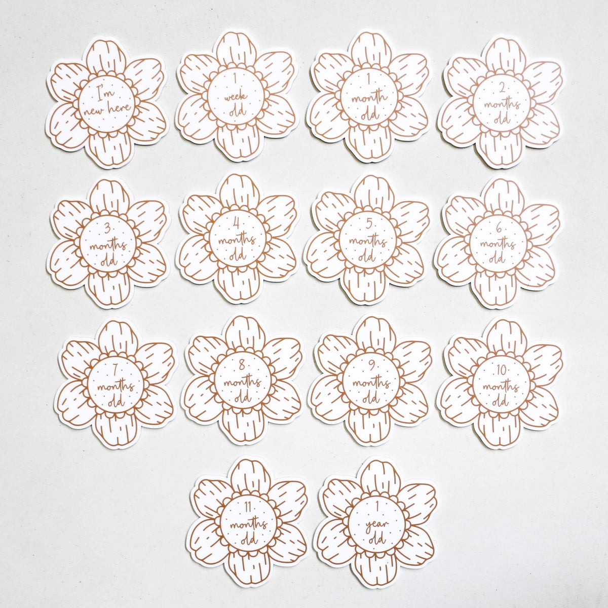 Flower Milestone Cards (set of 14)