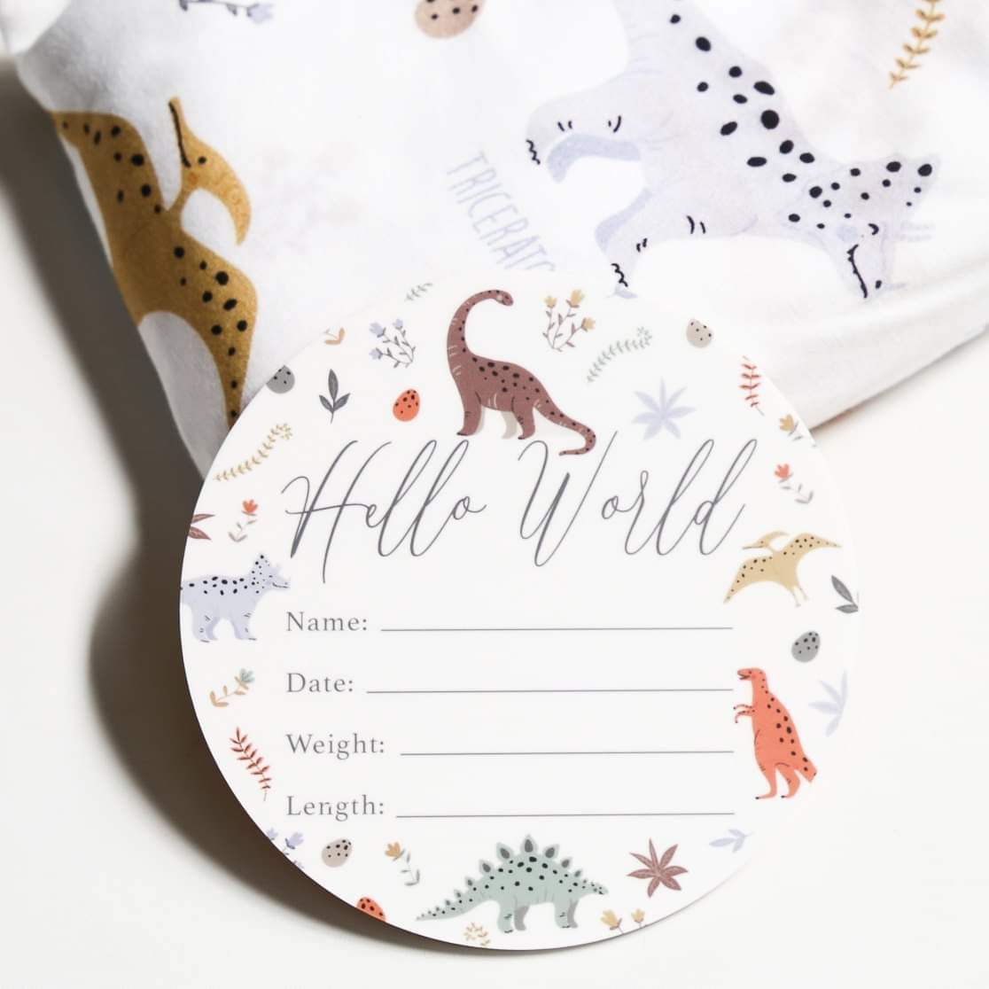 Birth Announcement Card- Hello World Dino Land