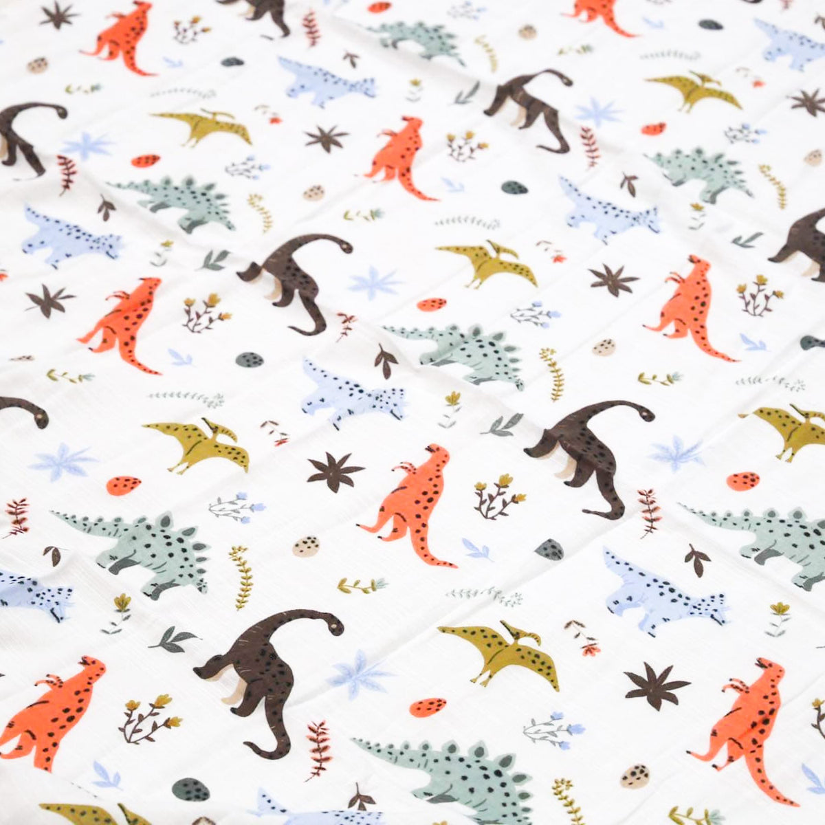 Dinosaur Swaddle Set