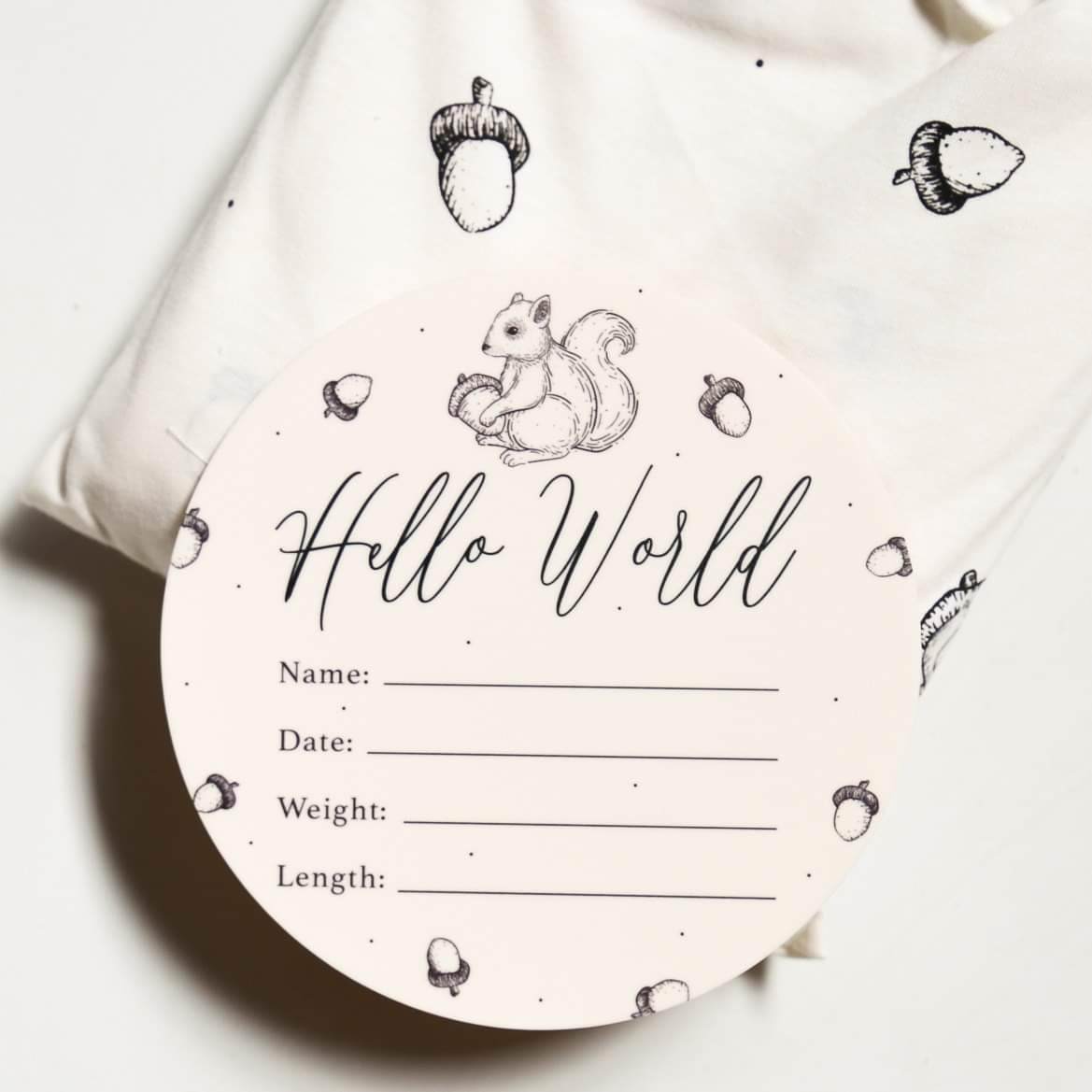 Birth Announcement Card- Hello World Little Squirrel